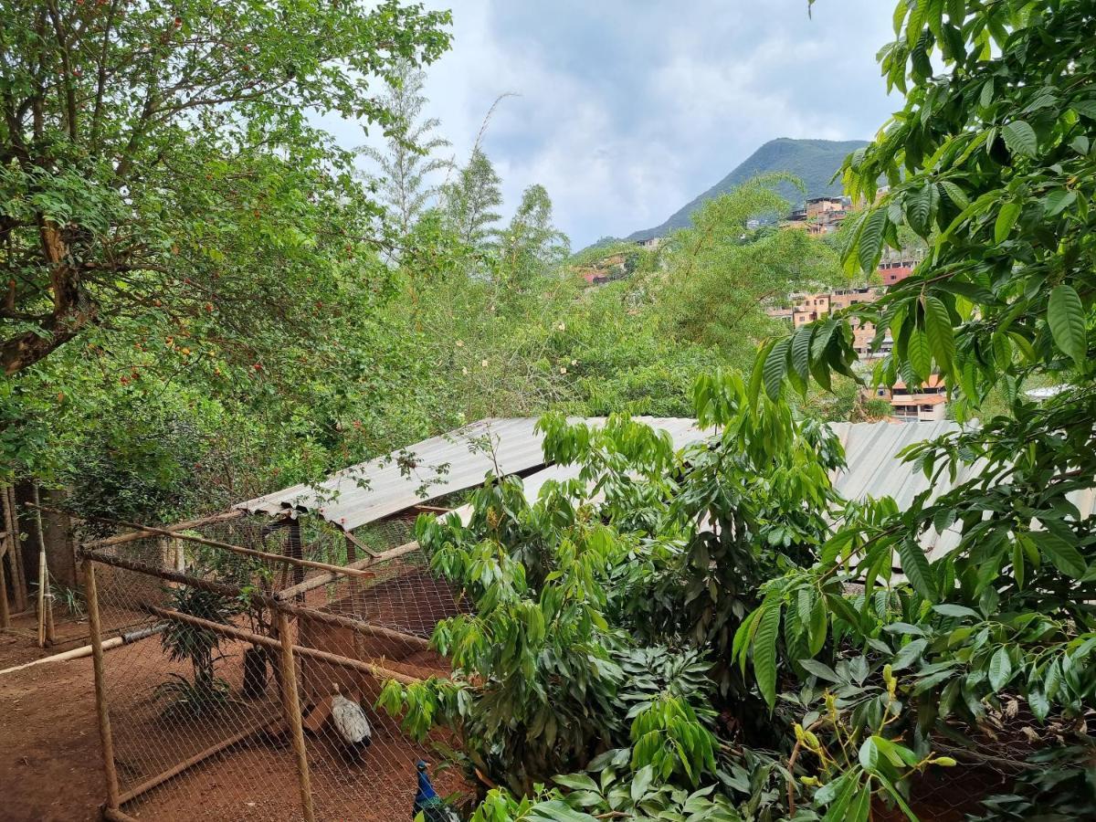 Casa Faisao Villa Nova Lima Luaran gambar